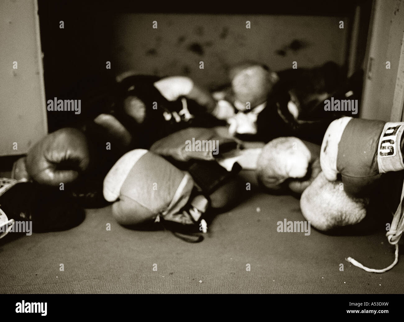Tinted black and white image of boxing gloves on gym floor. Stock Photo