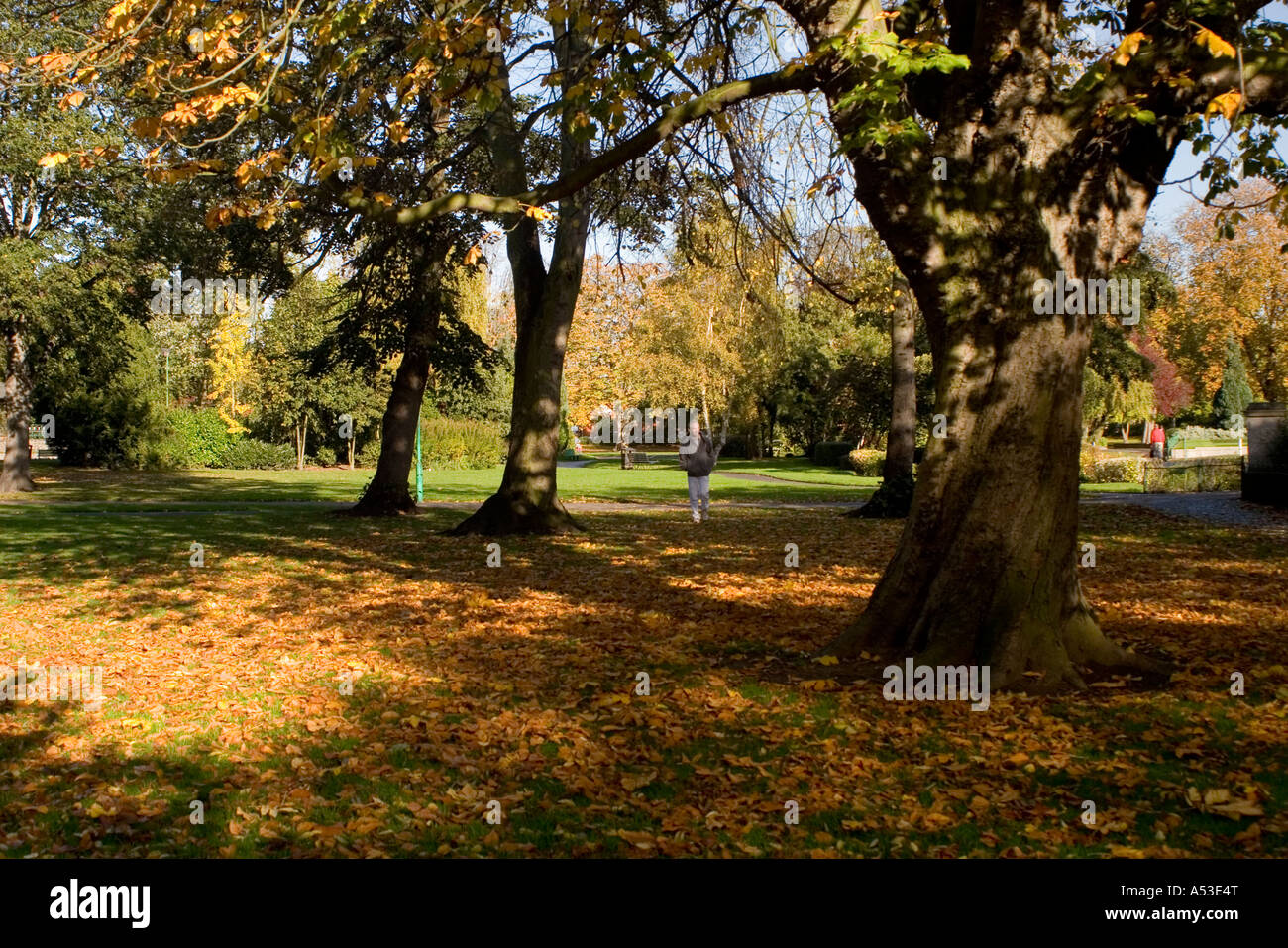 Walking through autumn leaves Stock Photo - Alamy