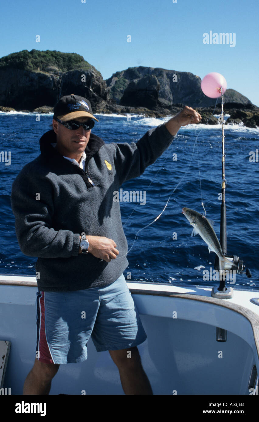 Fisherman with live bait for catching marlin in Whangaroa Harbour South