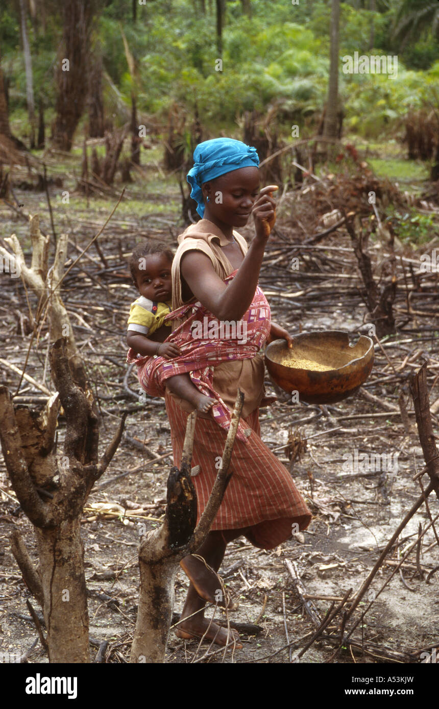 Painet ha1552 3120 liberia woman bay sowing rice goba country developing nation less economically developed culture emerging Stock Photo