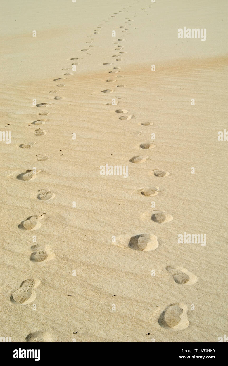 Footsteps on Henty Dunes at Westcoast Tasmania Australia Stock Photo