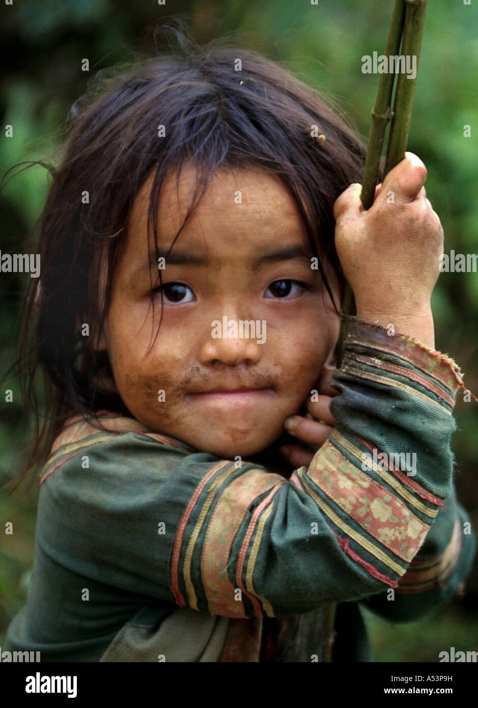 Painet ha1681 3381 children hmong girl child bo lung village lao cai vietnam country developing nation less economically Stock Photo