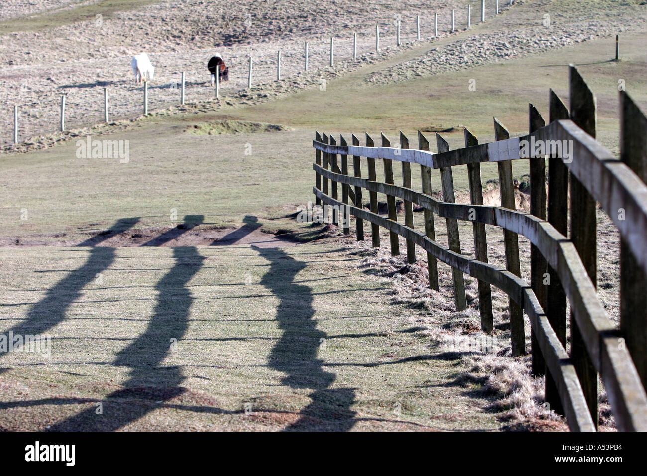 Post and rail fence Stock Photo - Alamy