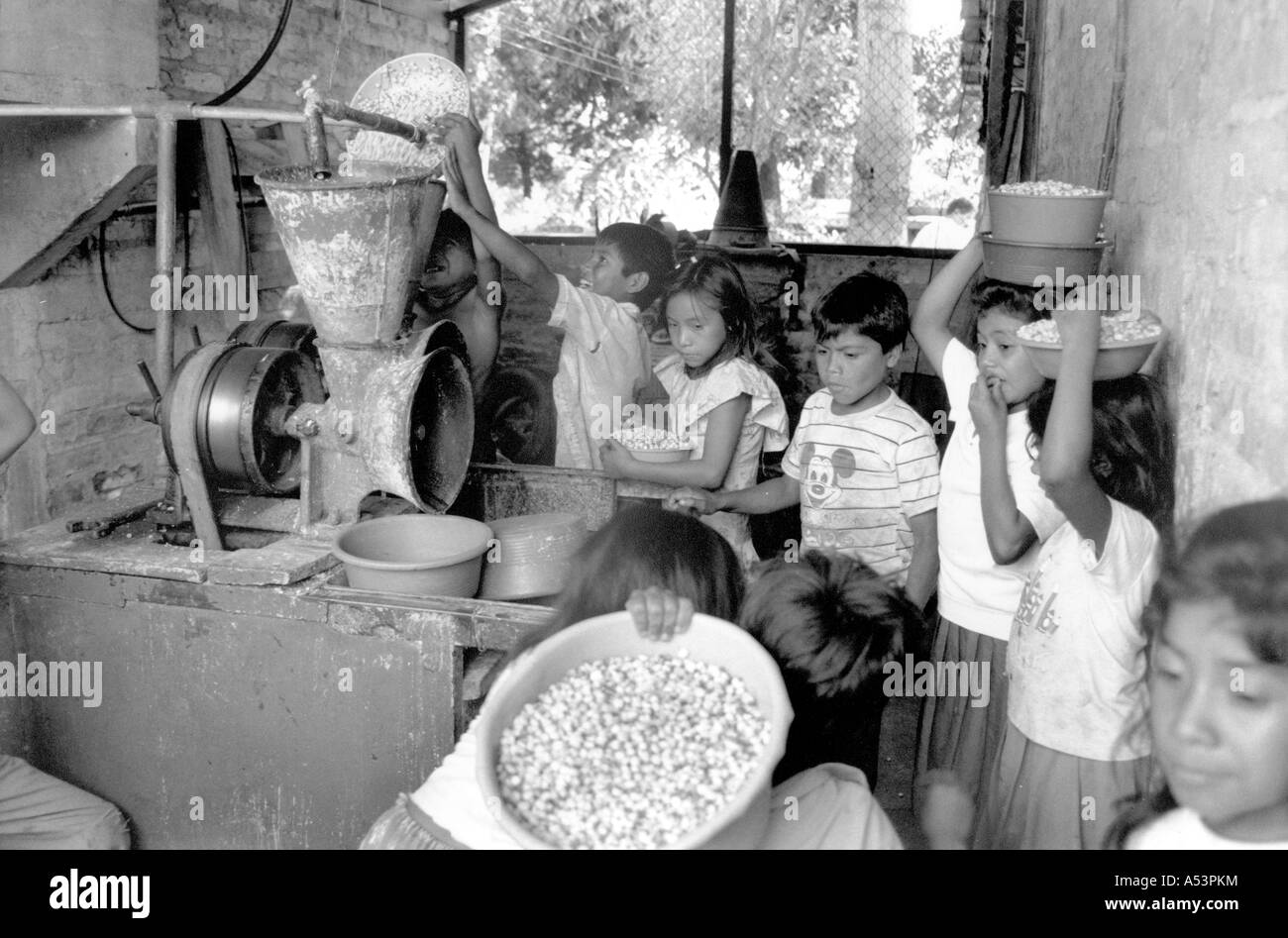 Developing maize Black and White Stock Photos & Images - Alamy