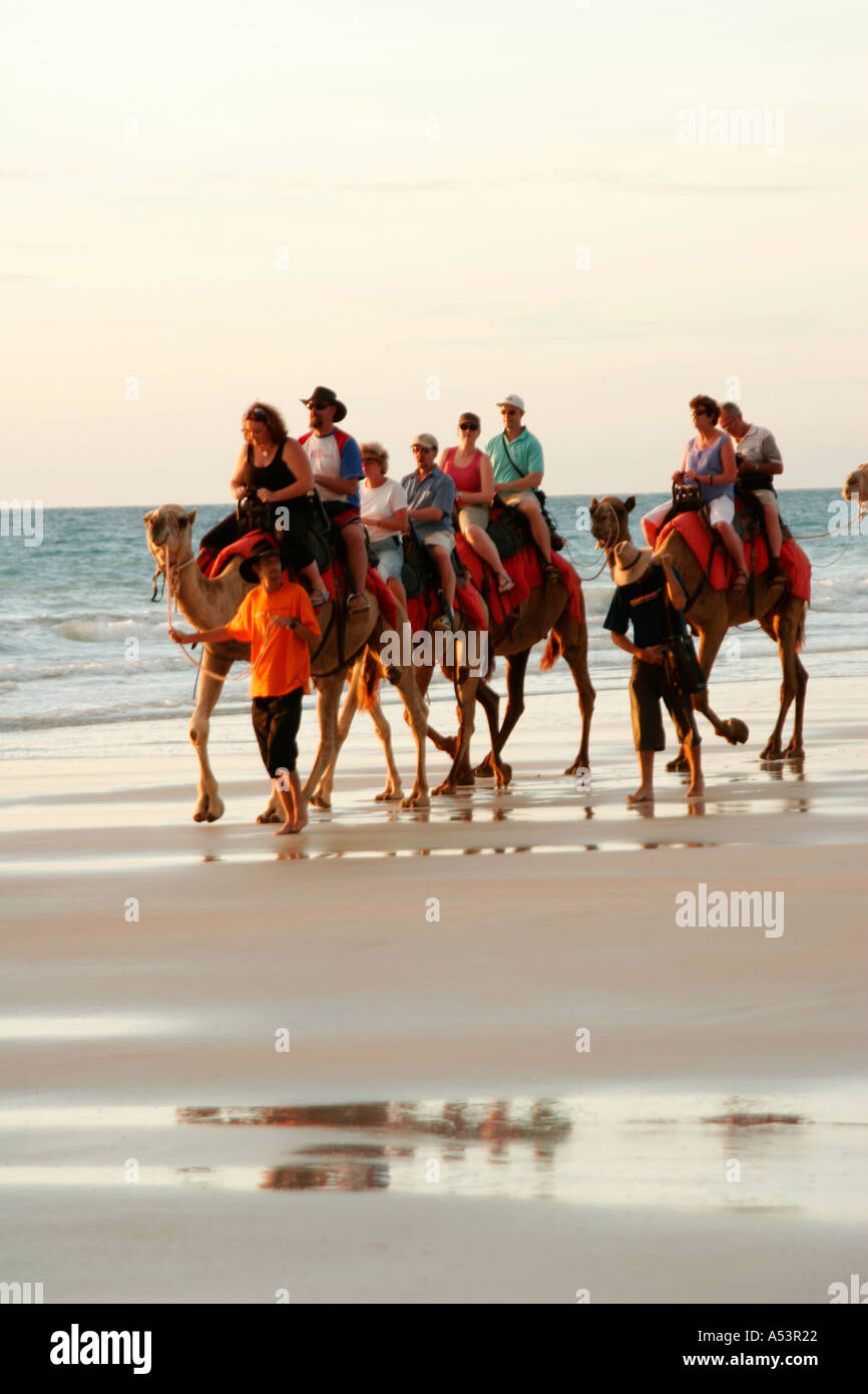 Camel rides on Cable Beach in Broome Western Australia Stock Photo Alamy