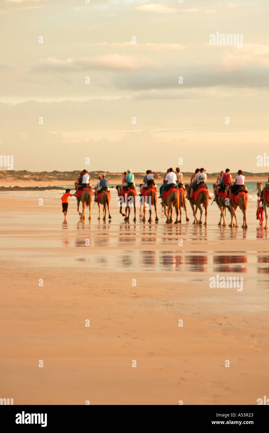 Broome camels shadows hi-res stock photography and images - Alamy