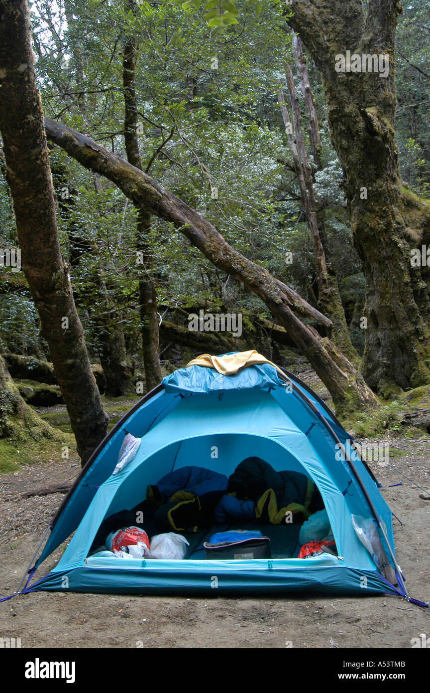 Tent at campground at Pine Valley Hut on Overland Track in Cradle Mountain Lake St Clair Nationalpark Tasmania Australia Stock Photo