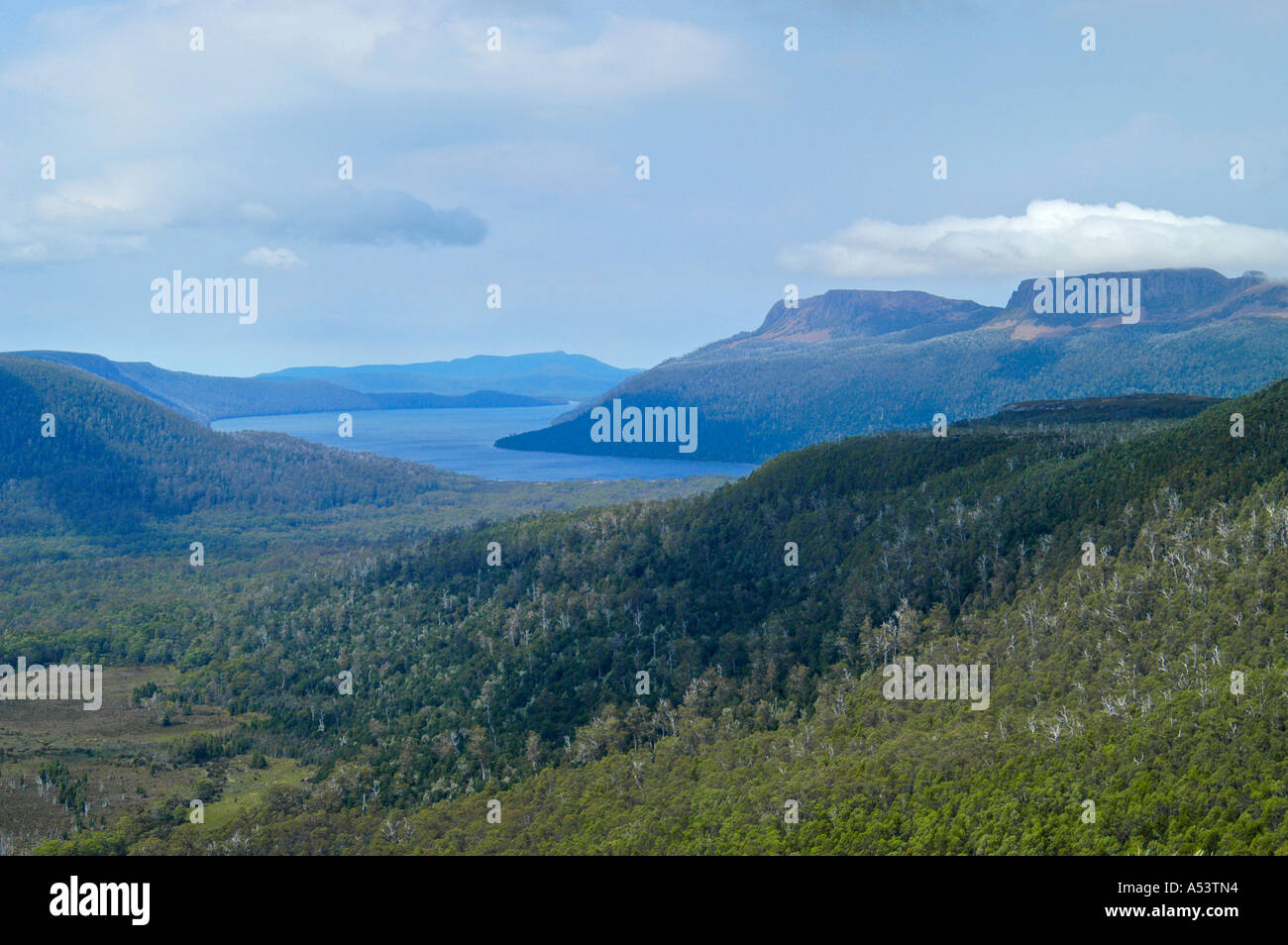 Lake St Clair seen from The Labyrinth near Pine Valley on Overland Track in Cradle Mountain Lake St Clair Nationalpark Tasmania Stock Photo