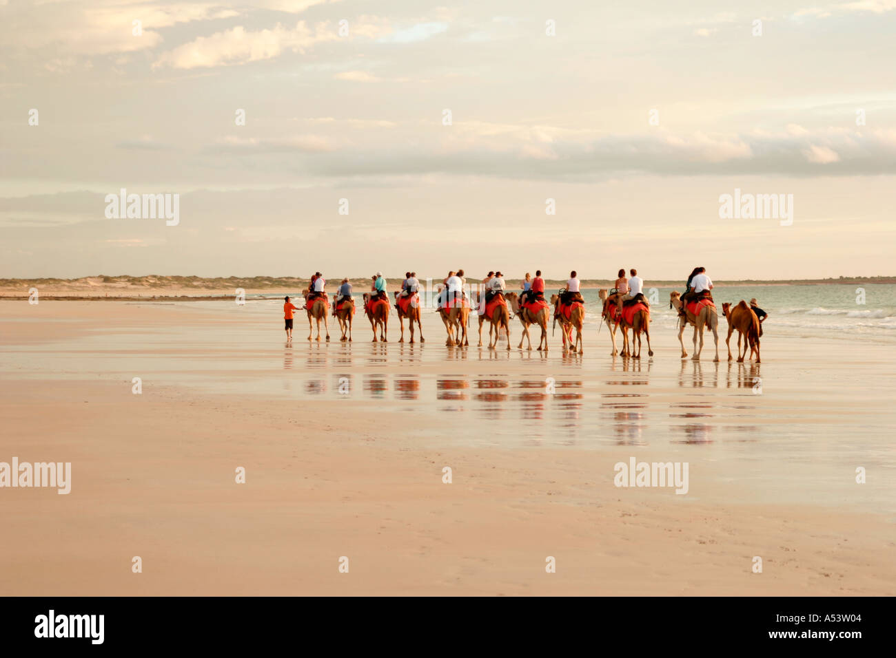 Camel rides on Cable Beach in Broome Western Australia Stock Photo Alamy