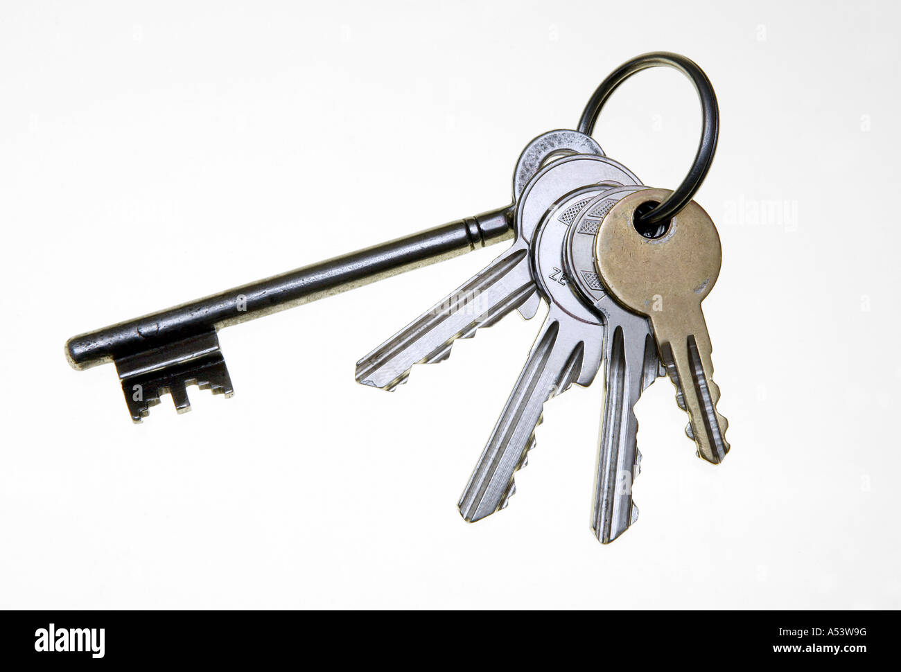 Bunch of keys on white background Stock Photo Alamy