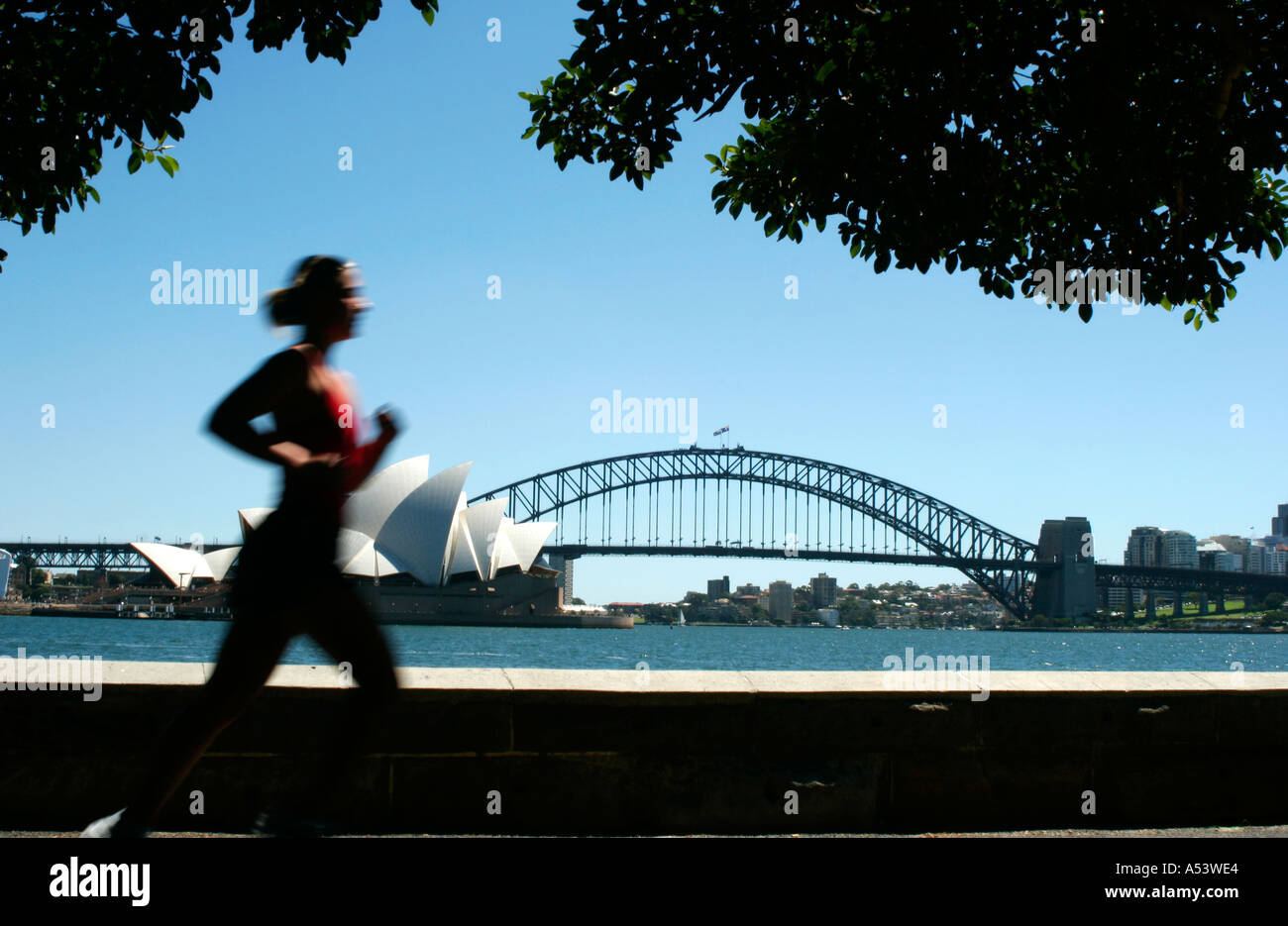 Jogger running by the sydney opera house and harbor harbour bridge in australia Stock Photo Alamy