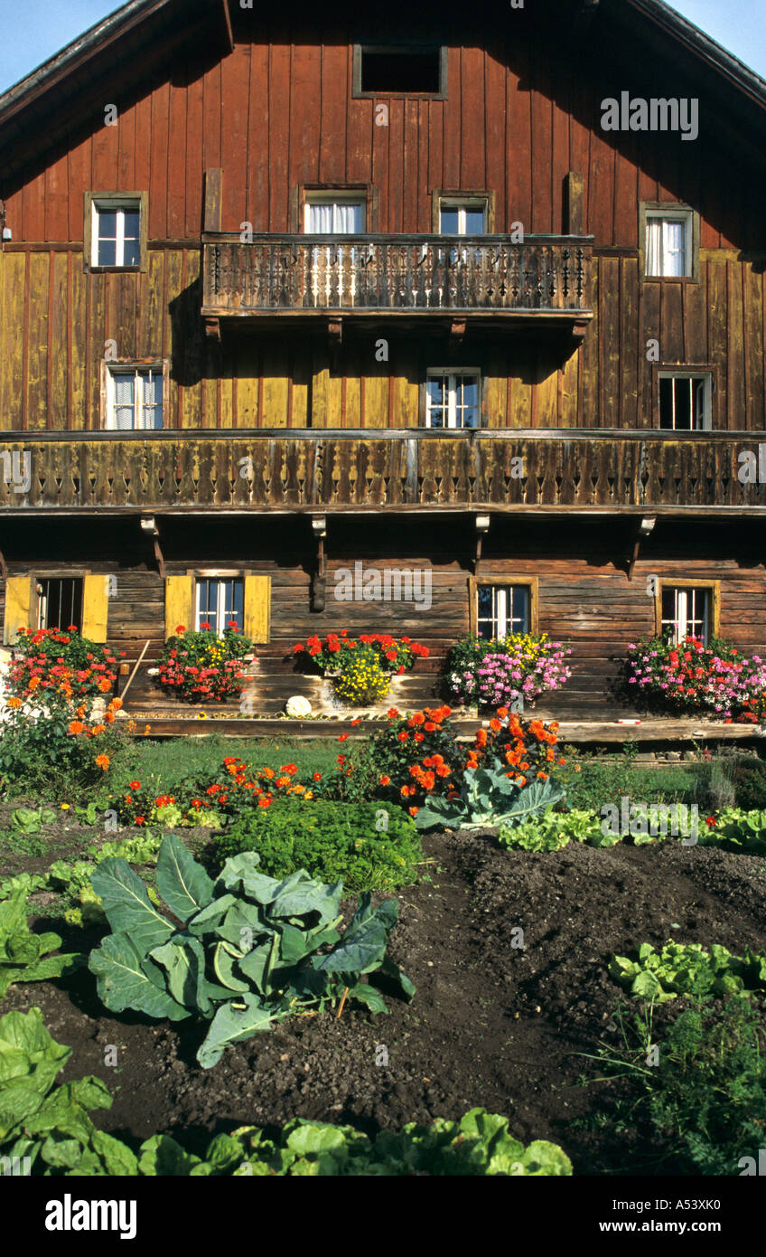 Old farmhouse and garden in Birnberg at Ramsau near mountain Dachstein Styria Austria Stock Photo