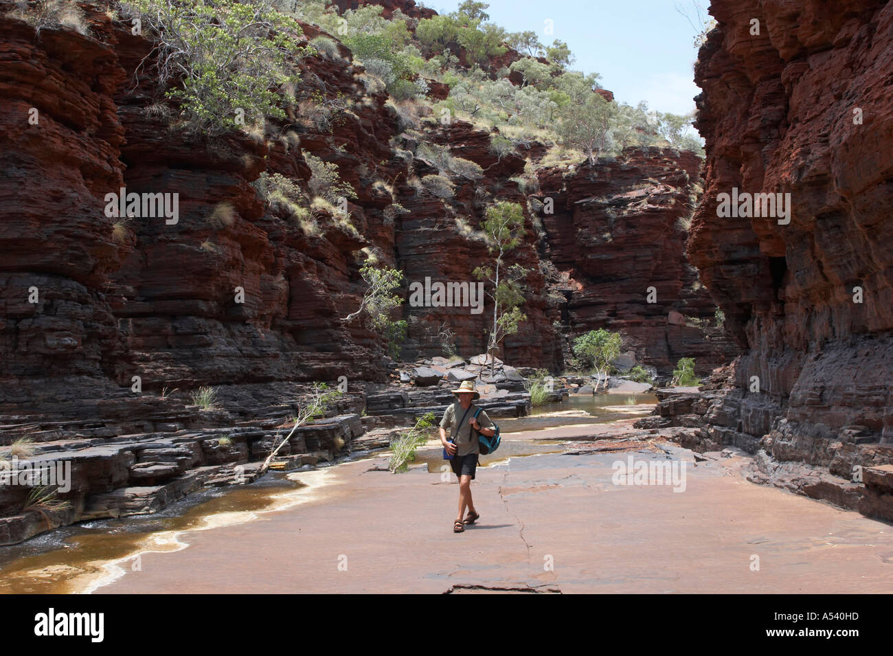 Man hikes in Kalamina Gorge Karijini National Park Pilbara region western australia WA Stock Photo