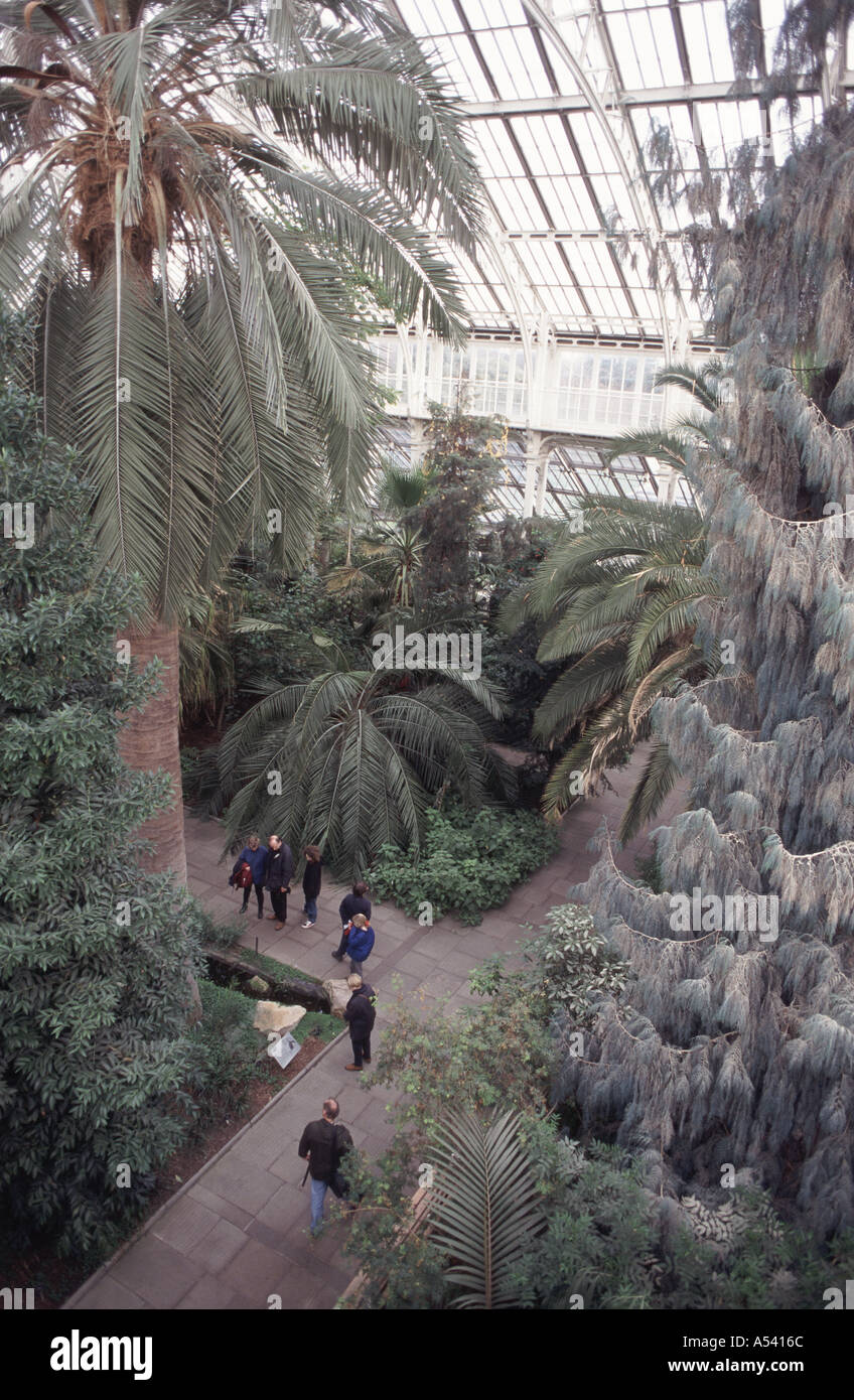 The Palm Tree London Stock Photos & The Palm Tree London Stock Images