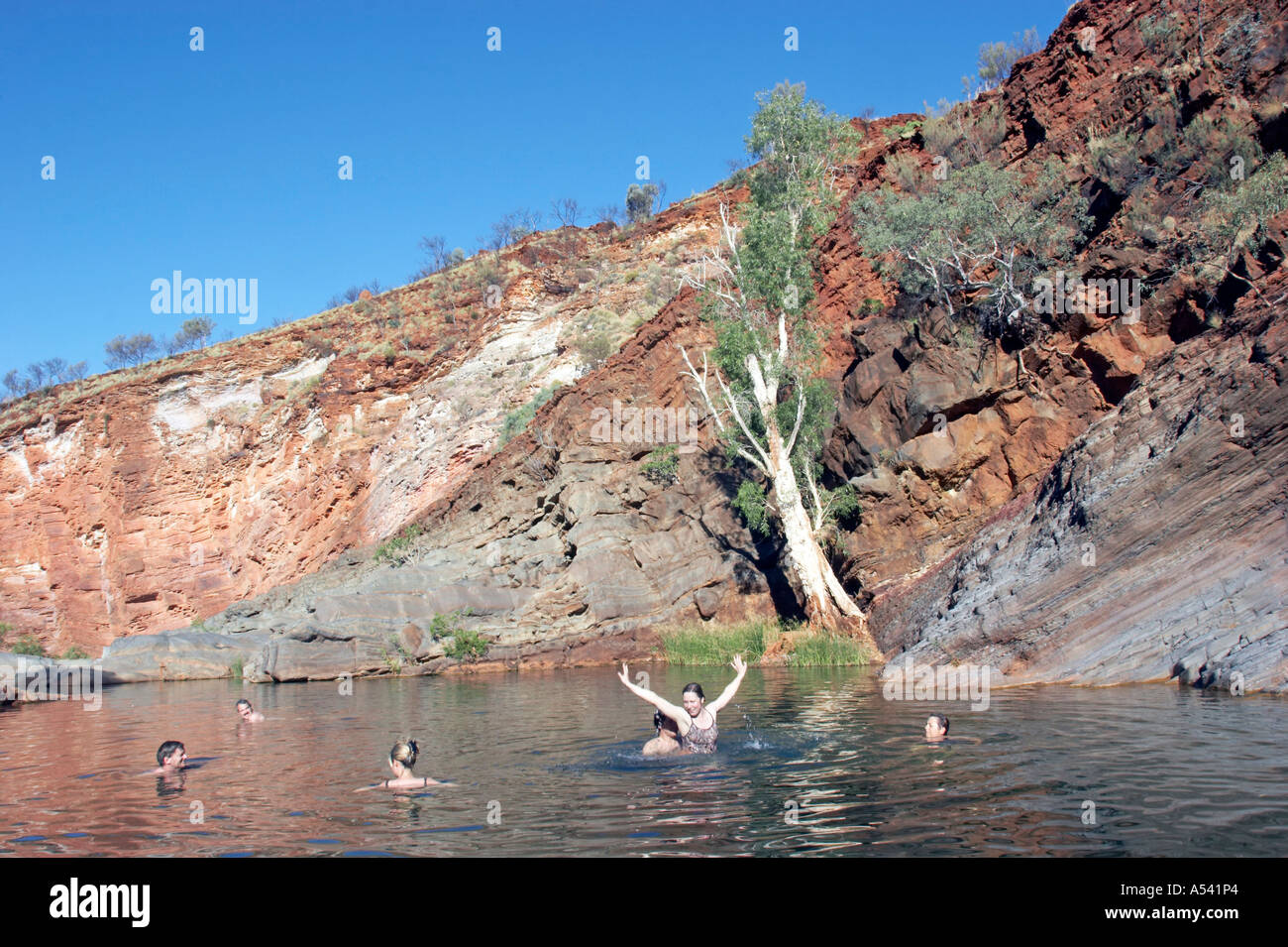 Swimming in Hamersley Gorge Pilbara region western australia WA Stock Photo
