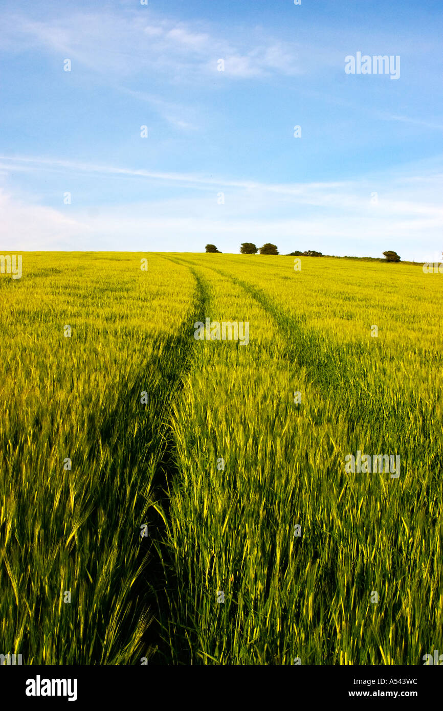 British arable farming Stock Photo Alamy