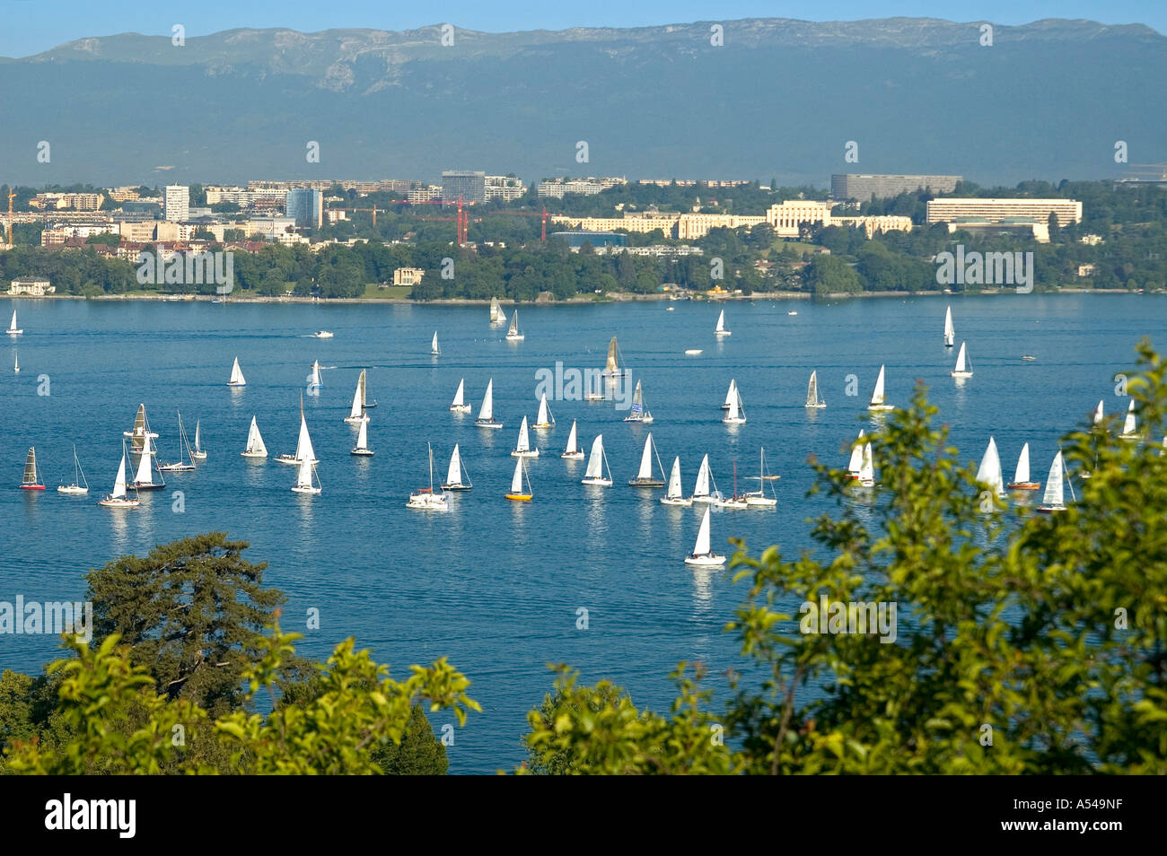 Sailing on Lac Leman Geneva Switzerland Stock Photo 6395678 Alamy