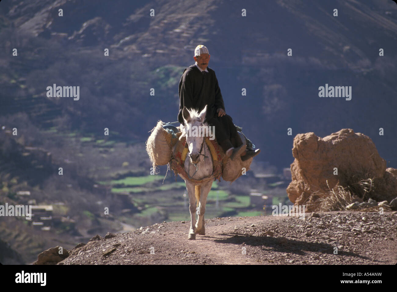 Painet hn1785 3841 morocco travelling by mule high atlas country developing nation less economically developed culture Stock Photo
