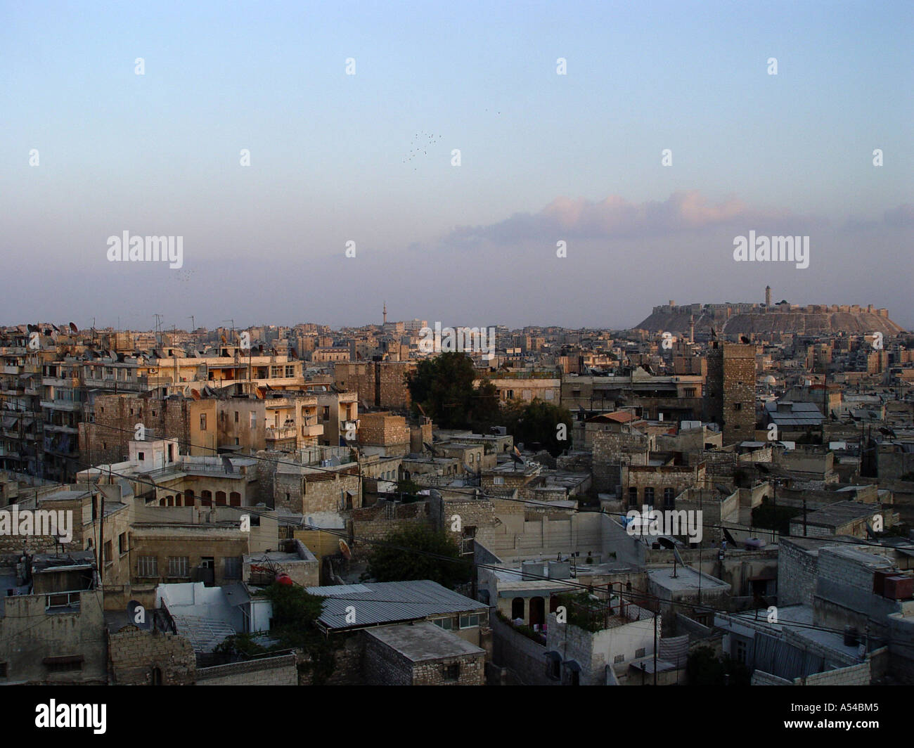 Citadell in Aleppo Stock Photo