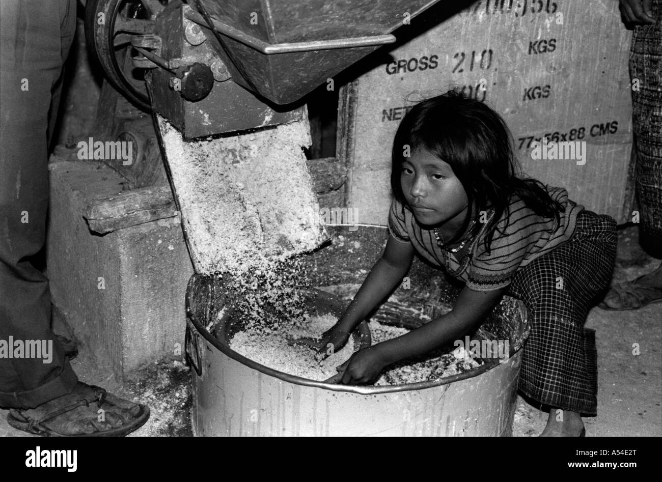Painet hn1970 568 black and white child labor girl milling corn for tortillas rabinal guatemala country developing nation Stock Photo