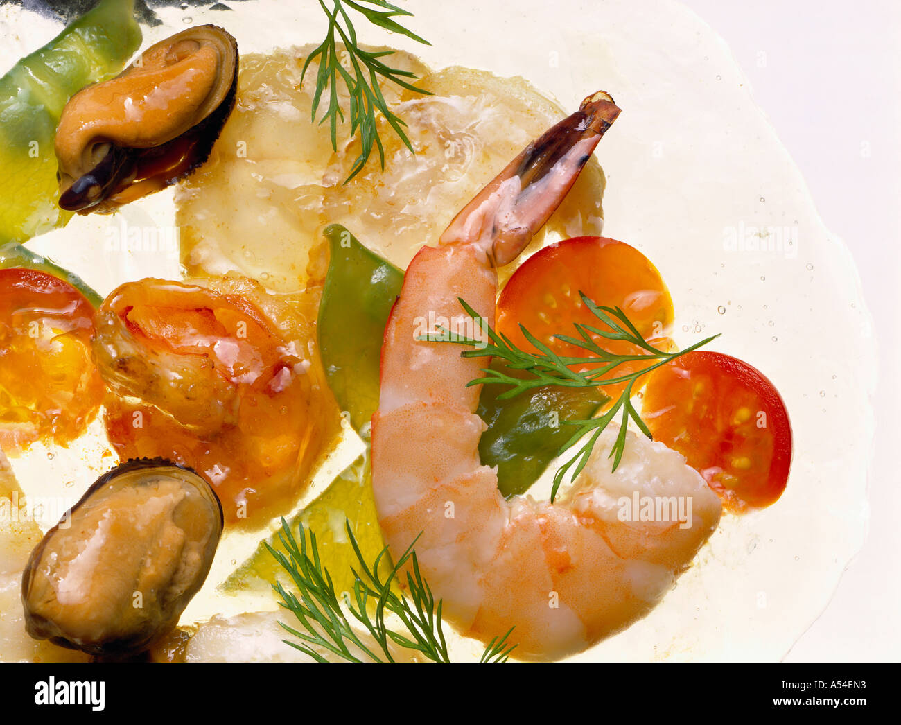 Ban and jelly fish hires stock photography and images Alamy