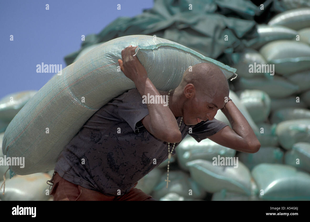 Painet hq1428 man male eritrea loading trucks food aid masawa port christian famine heavy images labour sacks sweating Stock Photo