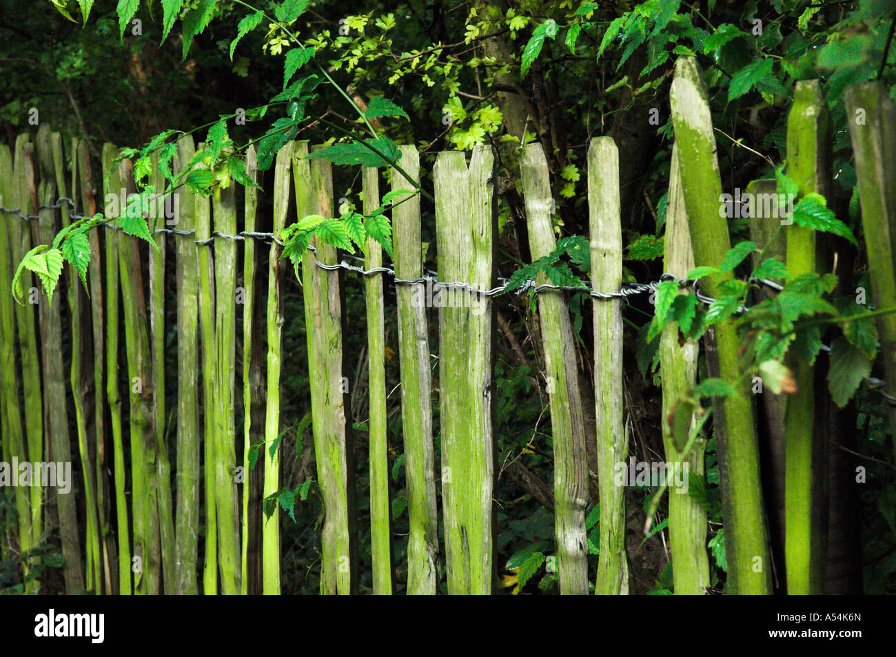 Old wooden picket fence hi-res stock photography and images - Alamy