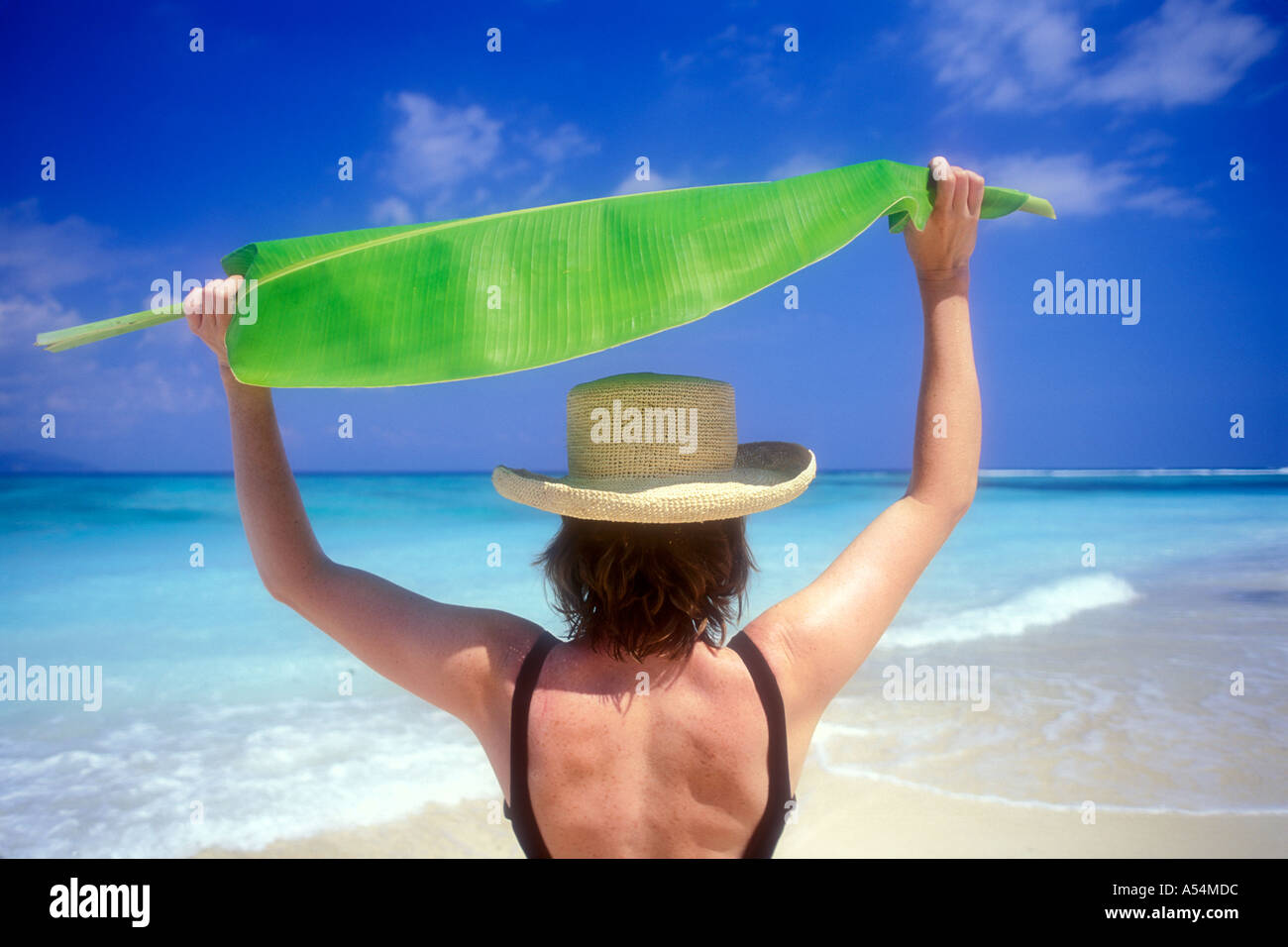 Woman holding banana leaf over her head for shade on Lombok Island Indonesia Model Released Photo Stock Photo