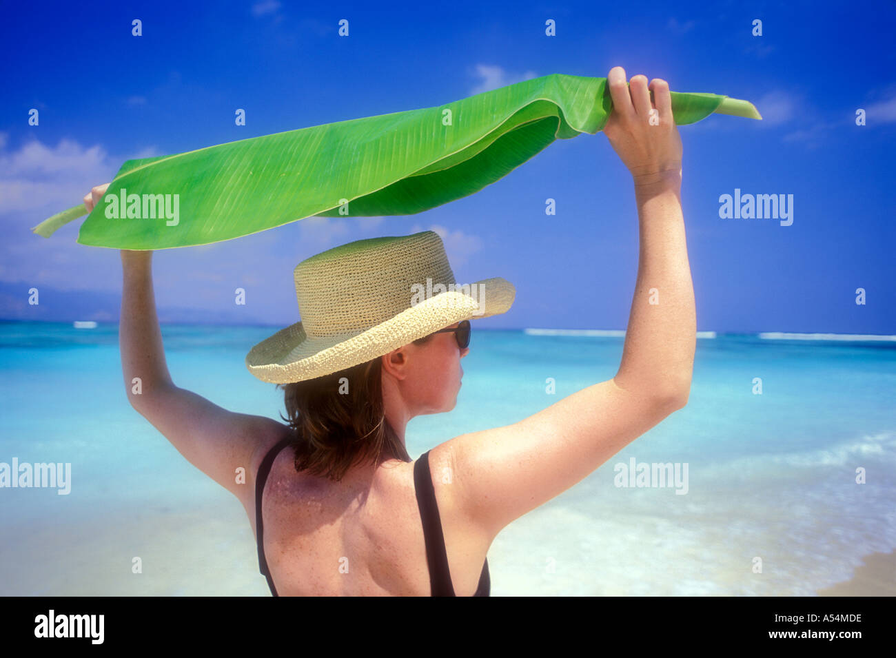 Woman holding banana leaf over her head for shade on Lombok Island Indonesia Model Released Photo Stock Photo