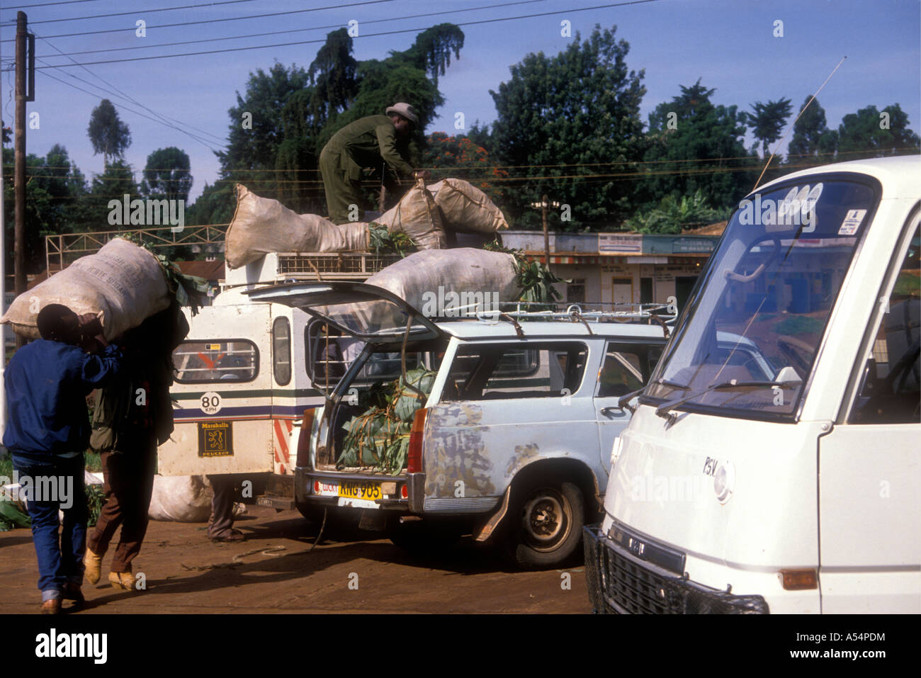 Men loading sacks of MIRAA onto taxis and trucks at Meru market Kenya East Africa Stock Photo