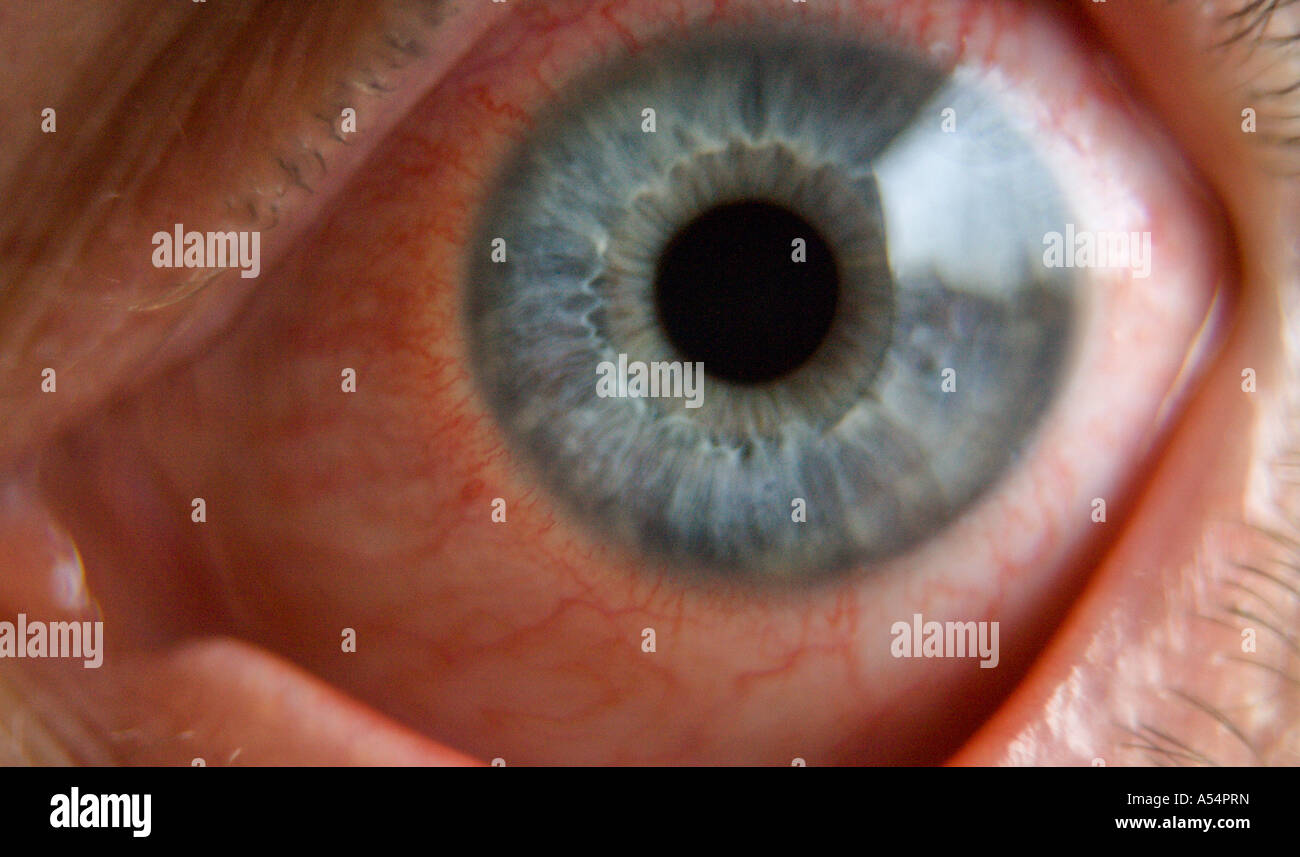 Don T Look At Him Stock Photo Alamy