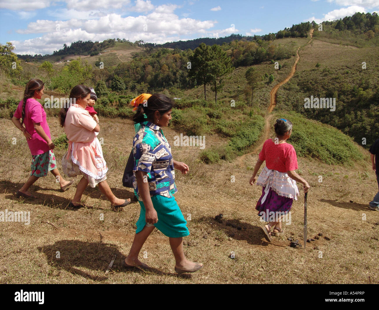 Painet ip1821 honduras group women walking garden work communally ...