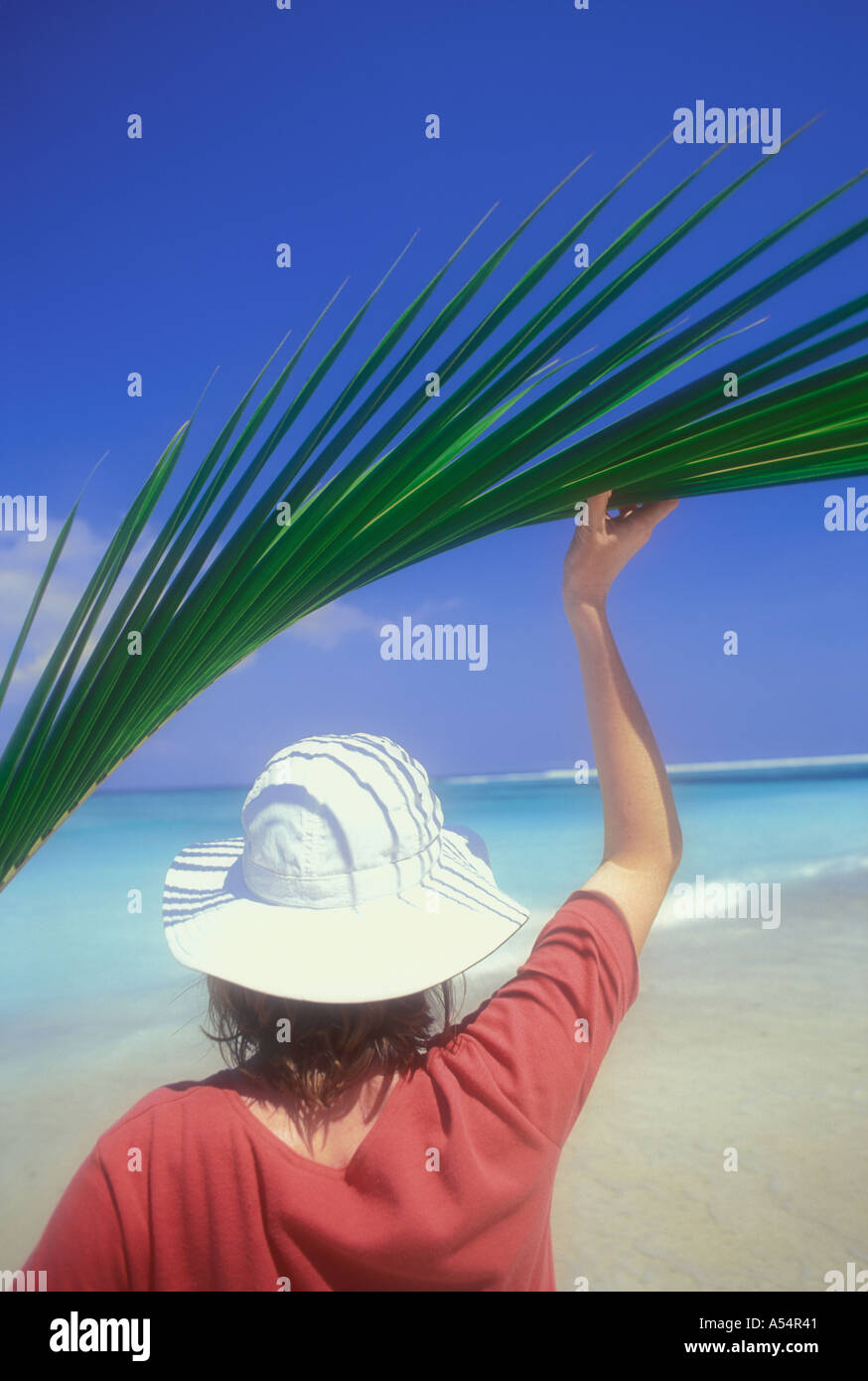 Woman using palm tree frond for shade on beach in Lombok Indonesia Model Released Photo Stock Photo