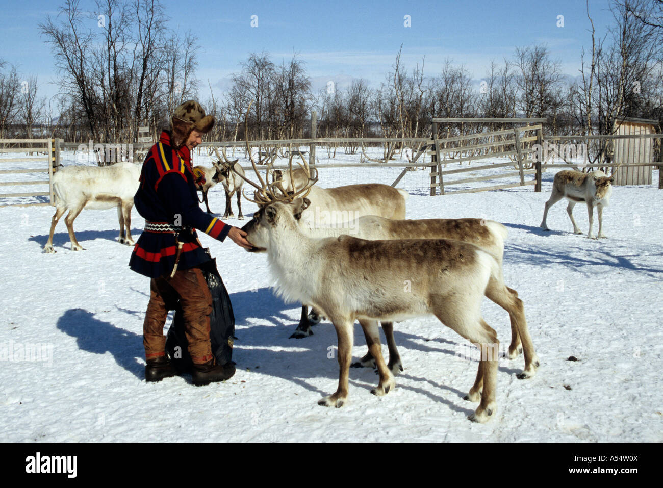Herders in the Arctic Herders in the Arctic
