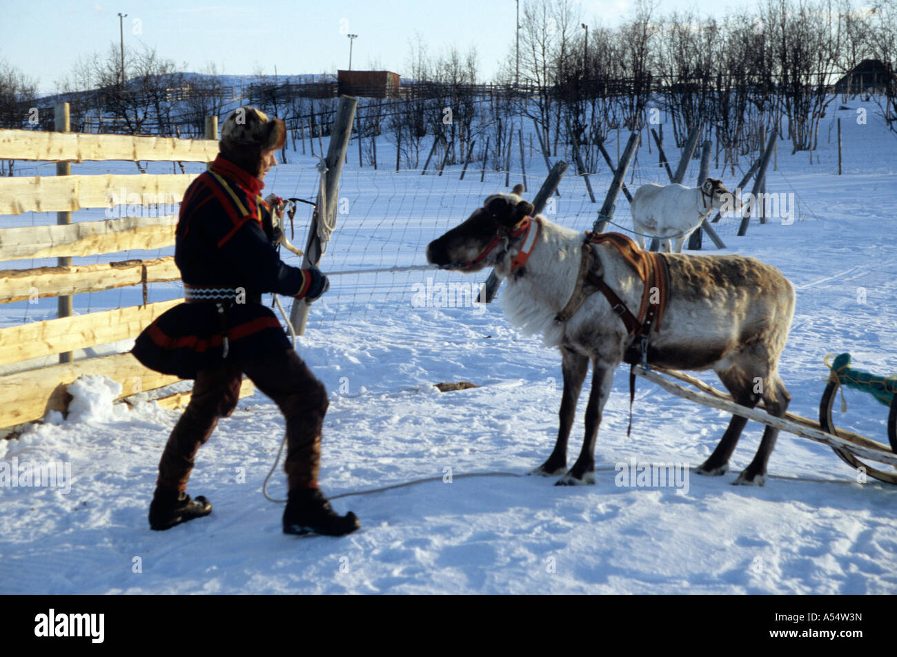 Herders in the Arctic Herders in the Arctic