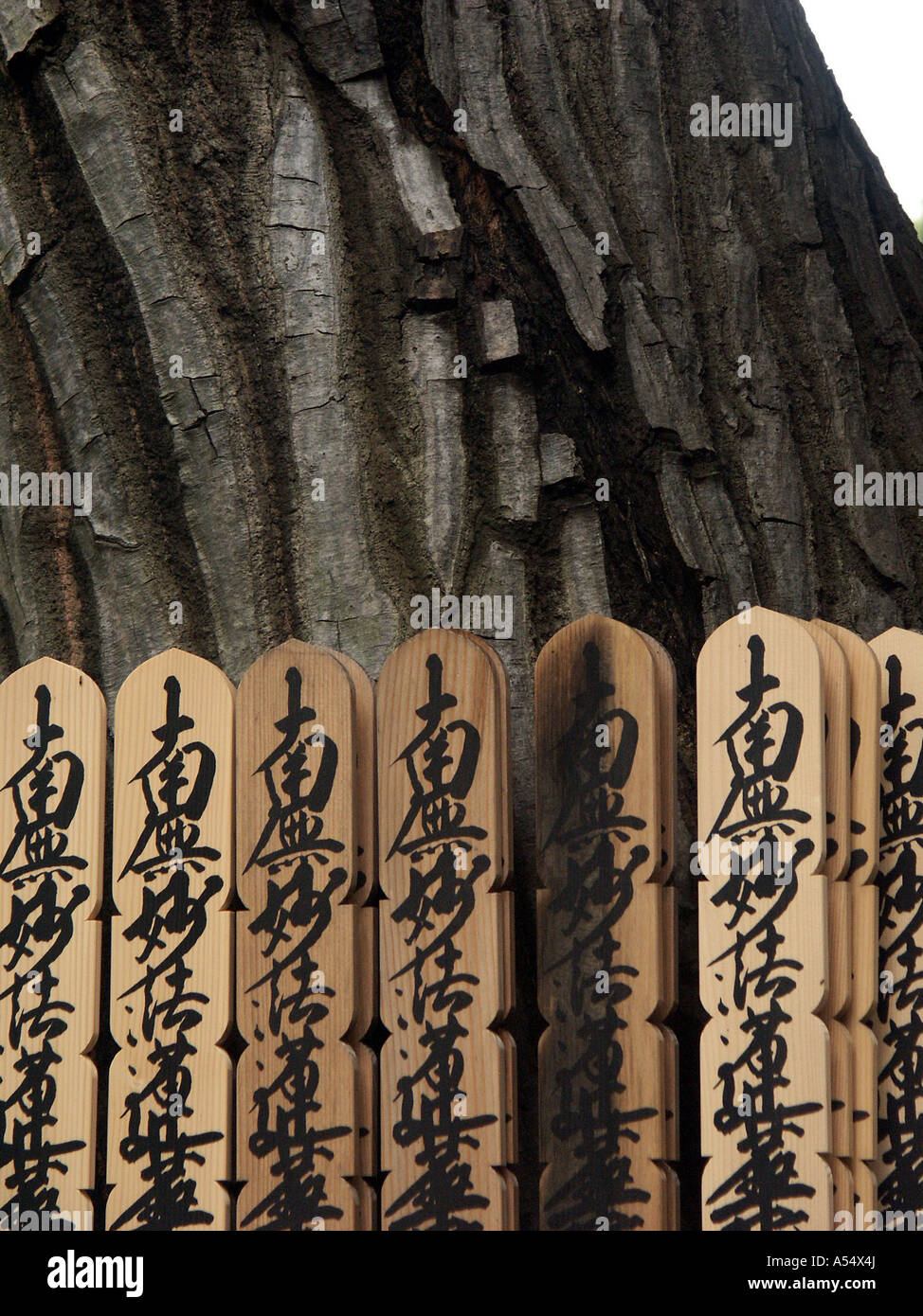 Painet ip2062 japan detail graveyard buddhist temple tokyo 2003 country developing nation less economically developed Stock Photo