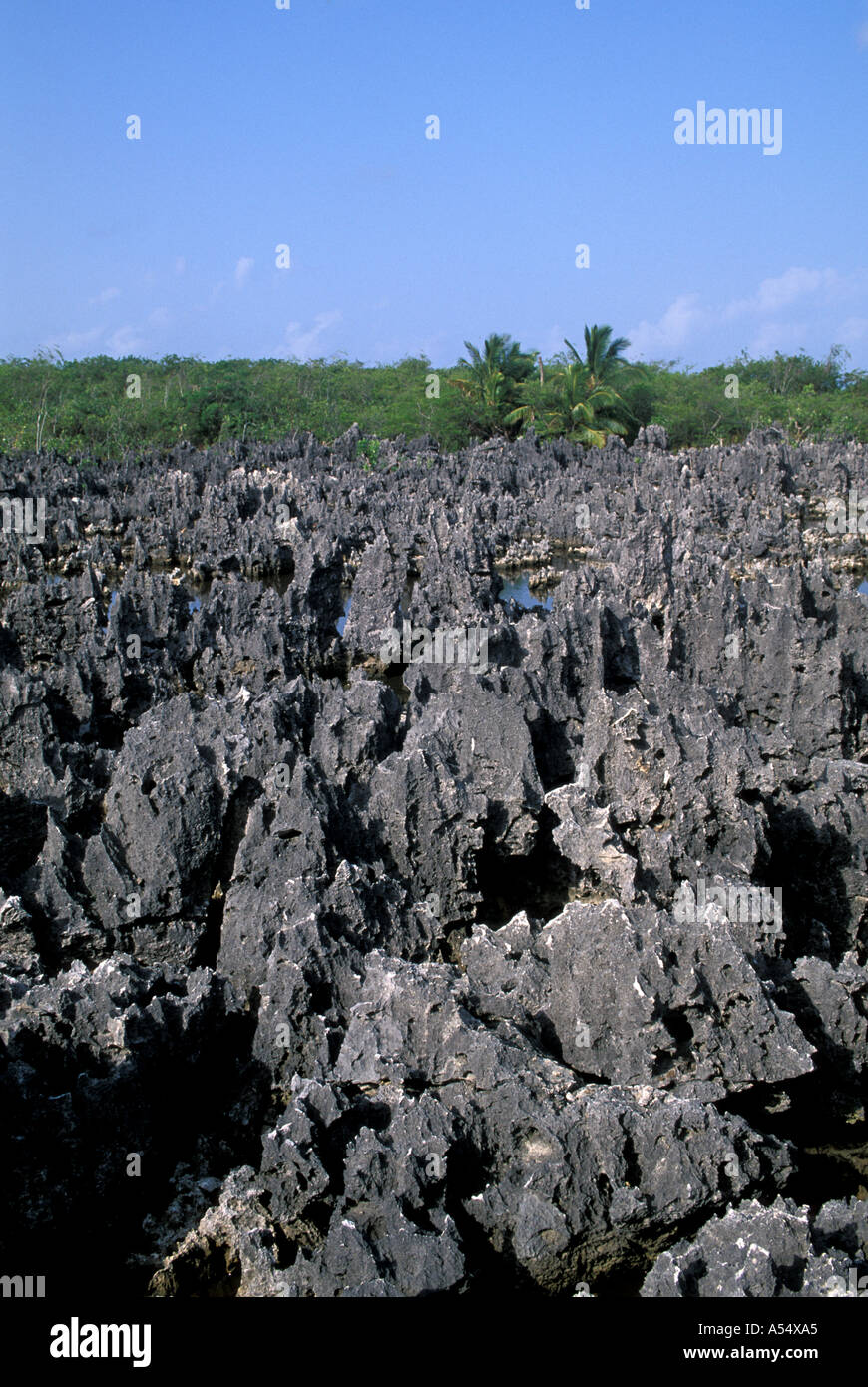 Grand Cayman Island West Indies Caribbean Hell rock formations ironshore Stock Photo