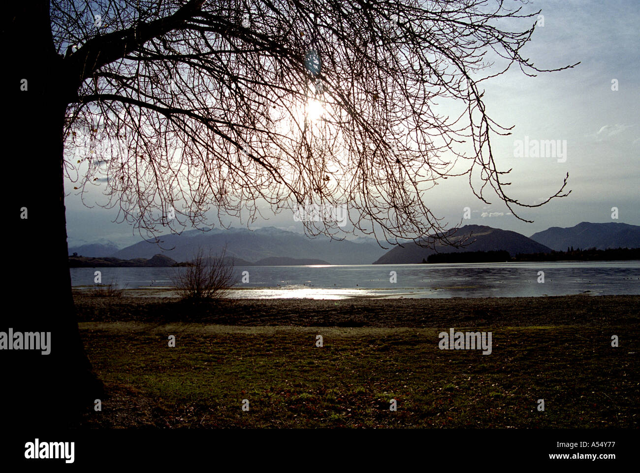 SCENERY FROM THE SOUTH ISLAND OF NEW ZEALAND Stock Photo - Alamy