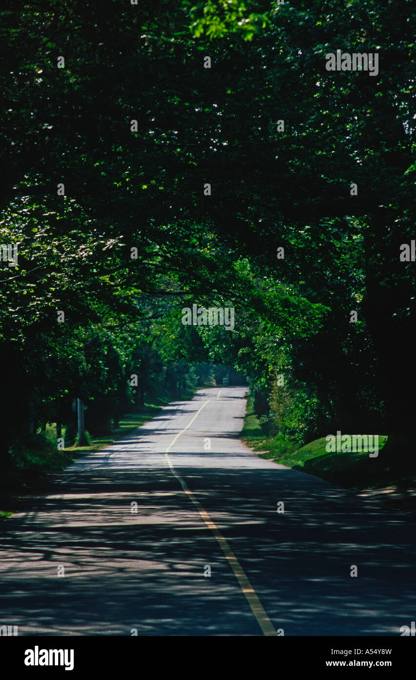 West tisbury hires stock photography and images Alamy