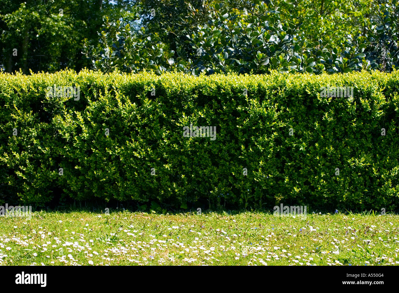 Clipped pattern hi-res stock photography and images - Alamy