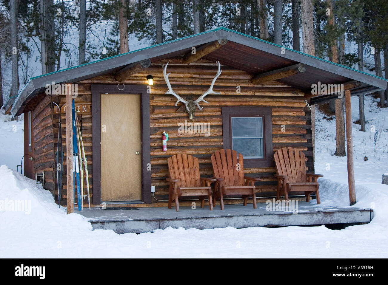 Moose Wyoming A cabin at the Triangle X Ranch a guest ranch in Grand