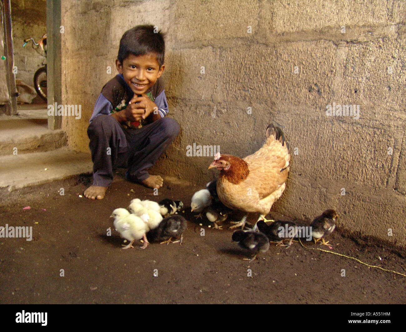 Painet ip2344 nicaragua boy feeding chickens posoltega country developing nation less economically developed culture Stock Photo