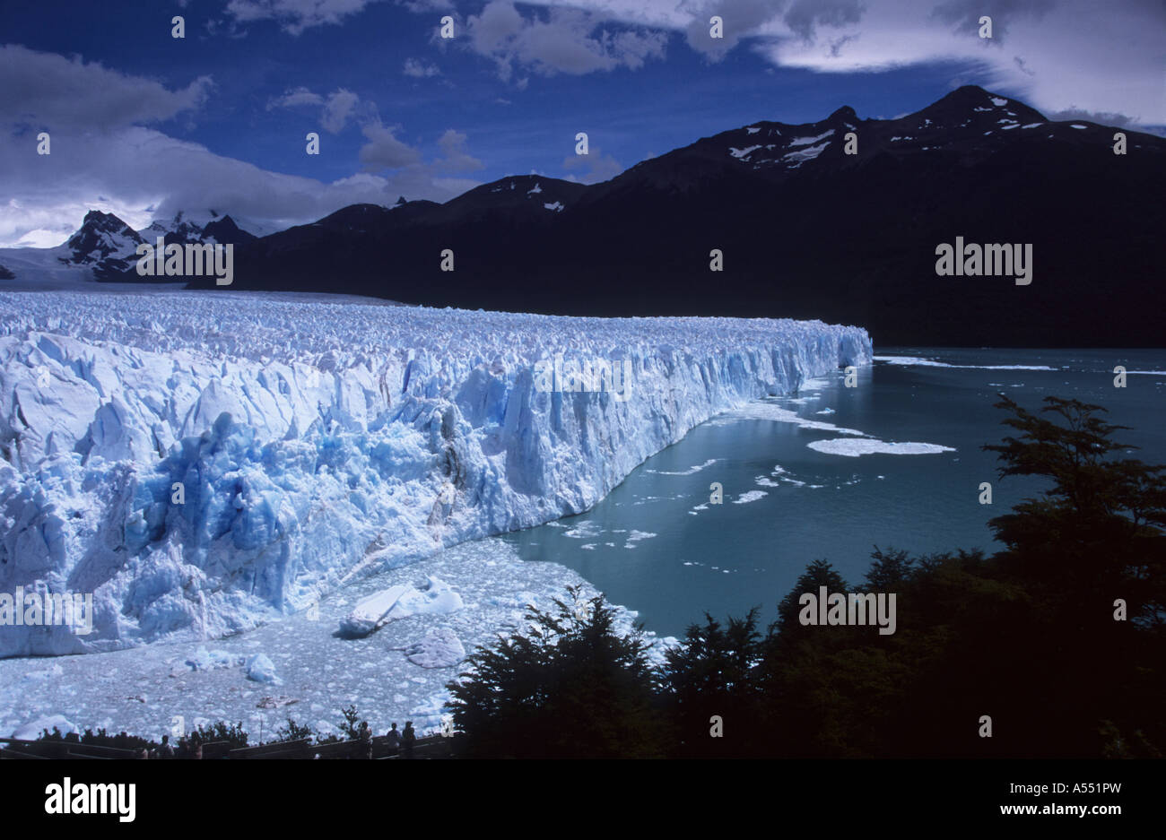 Perito Moreno Glacier, nothofagus southern beech forest and Lago Argentino, near El Calafate, Patagonia, Argentina Stock Photo