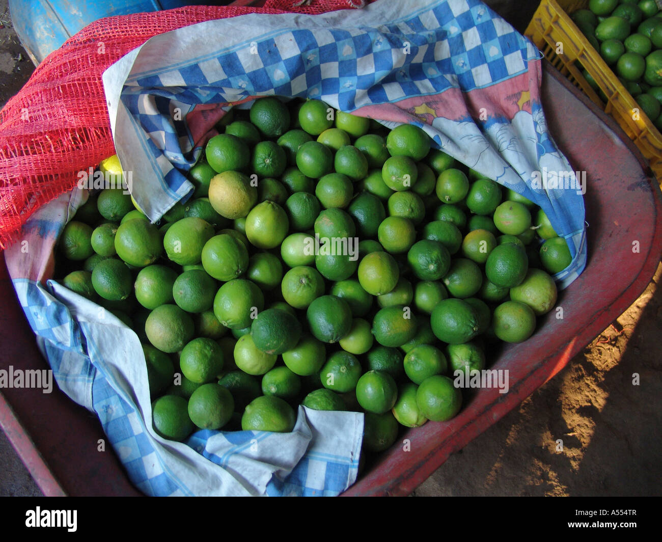Painet ip2496 salvador basket fresh limes san francsisco javier country developing nation less economically developed Stock Photo