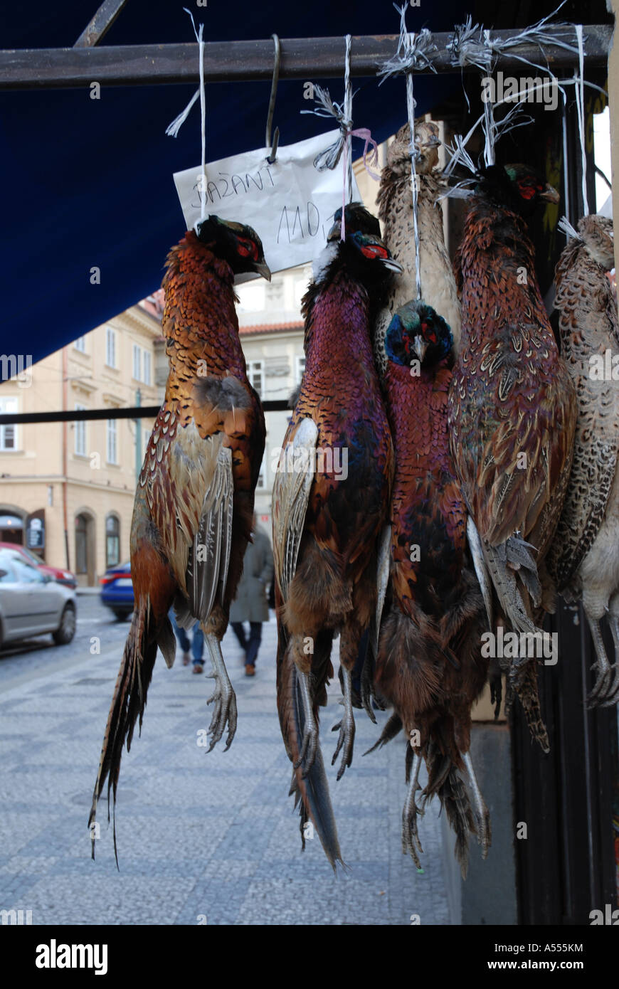Pheasants hanging in front of butcher store, Prague, Czech republic Stock Photo