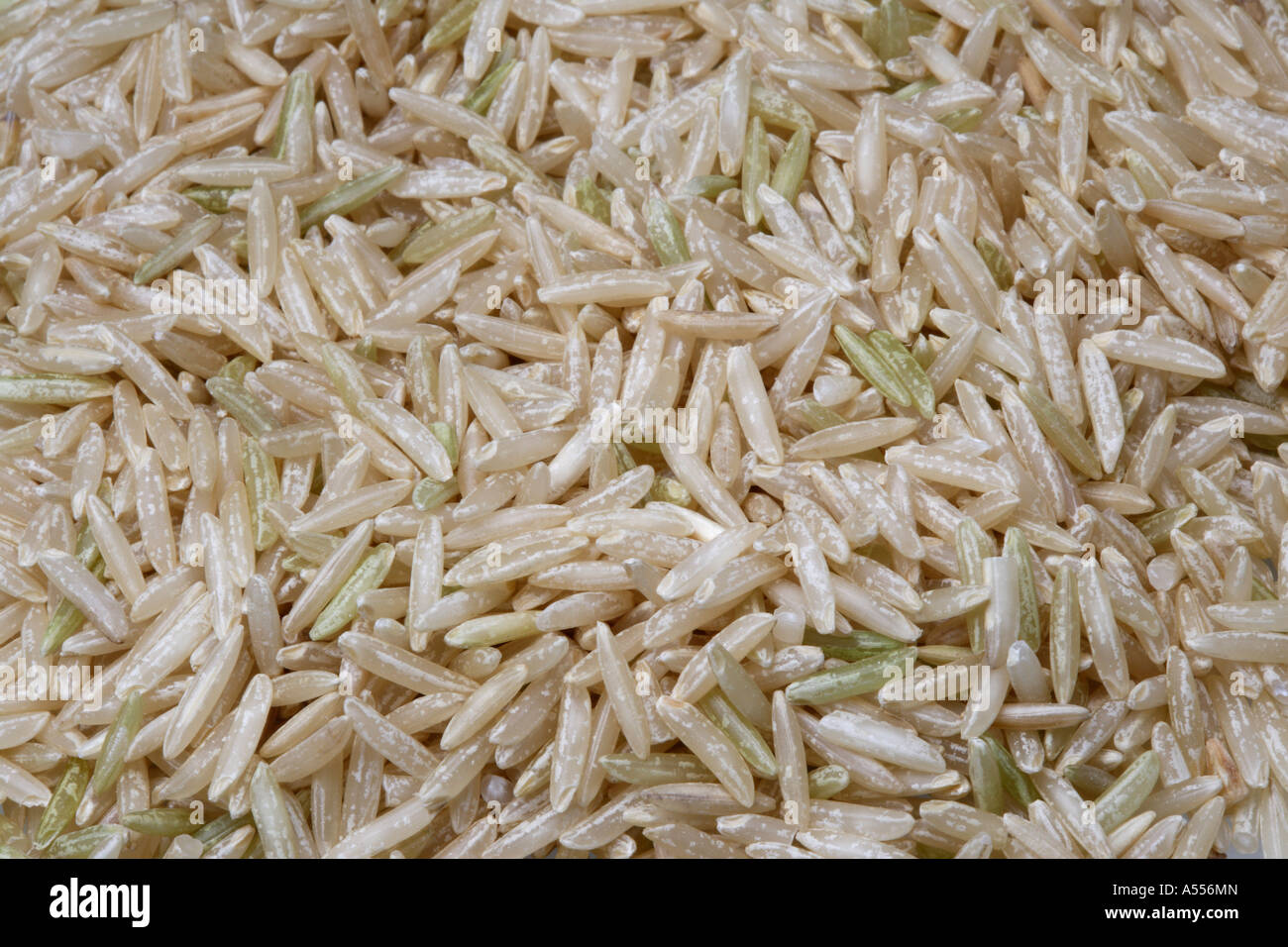 Long grain Basmati rice Stock Photo Alamy
