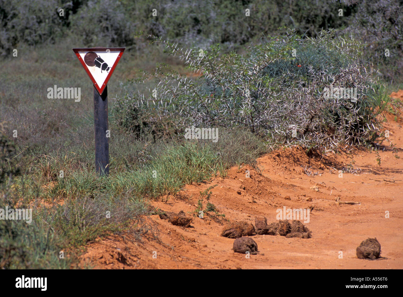 Sign pillbug Botswana Stock Photo