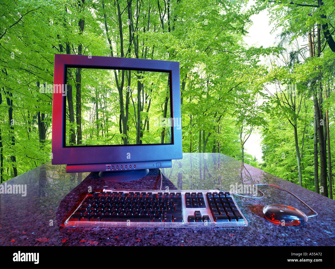 symbolic how to get Your pictures in your computer VR Virtual reality bureau outdoor indoor outside in forest green Stock Photo