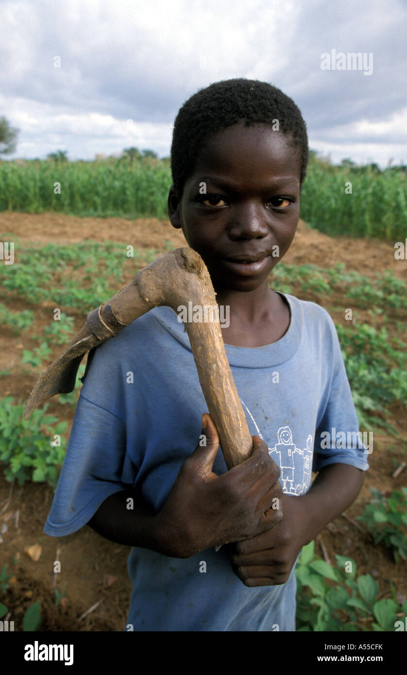 Painet ik0257 ghana boy bongo bolgatanga cultivating soya beans country developing nation less economically developed Stock Photo