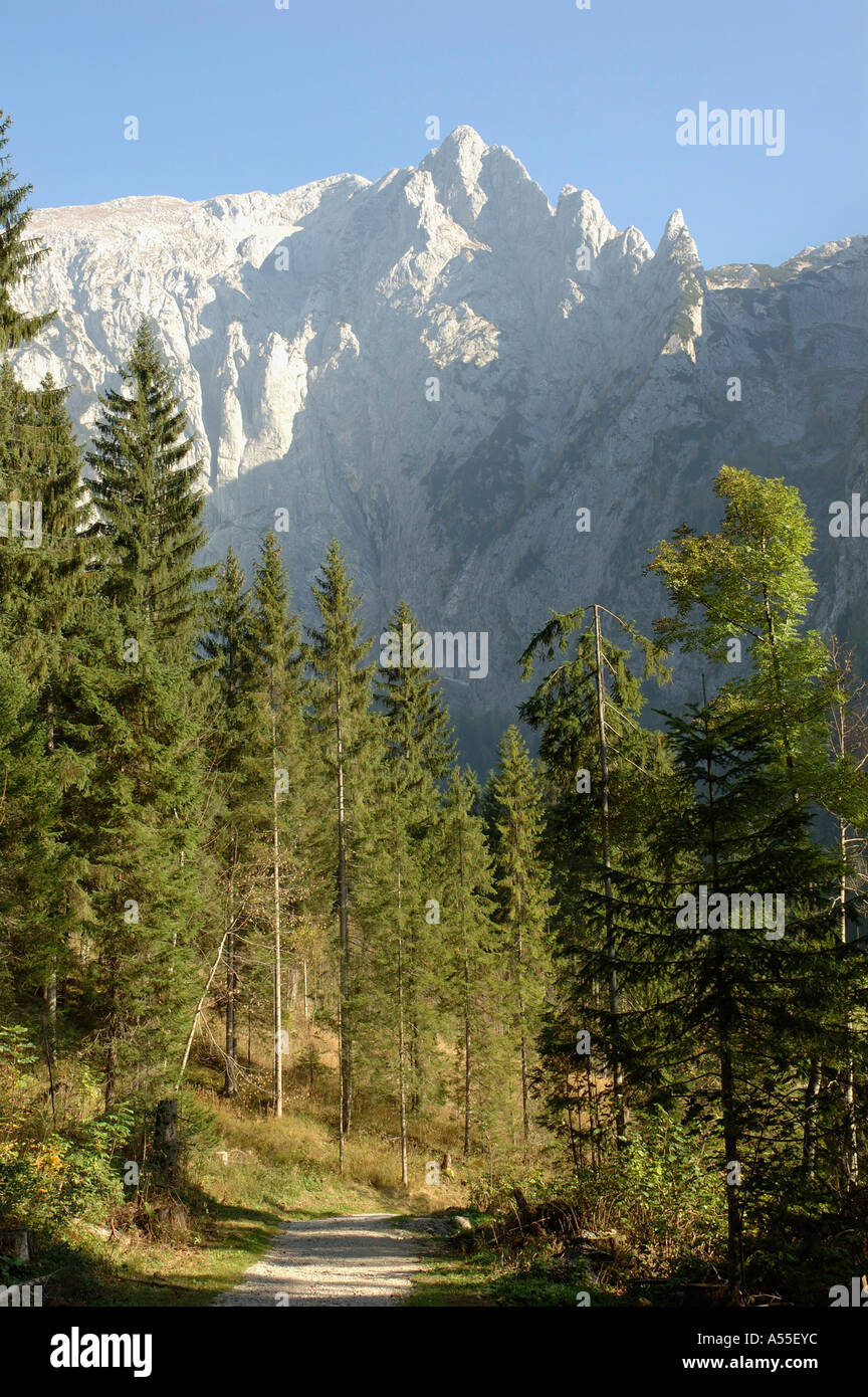 Alpine country shaft in the national park Berchtesgaden, Bavaria